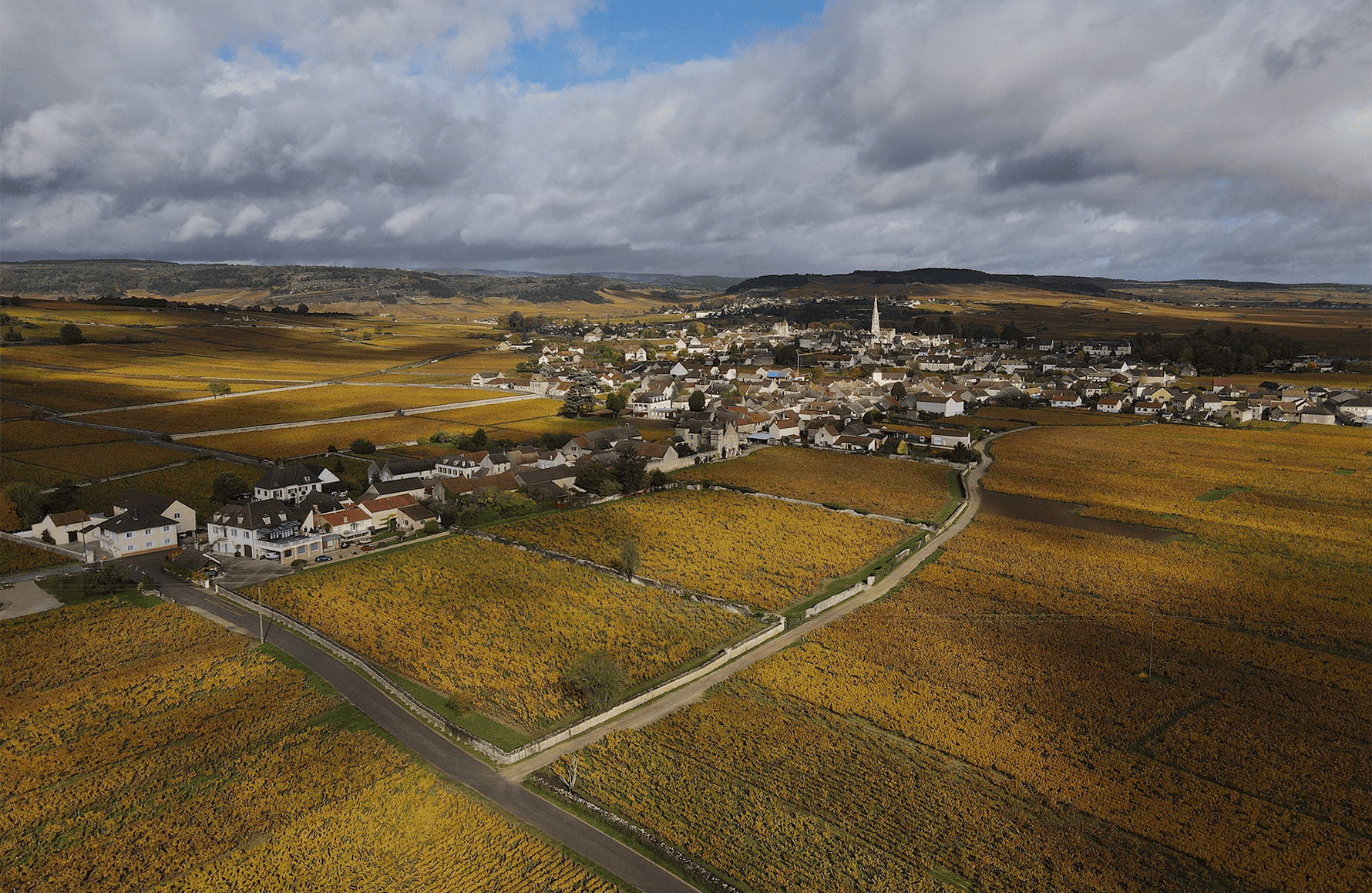 l’histoire du Domaine Michelot