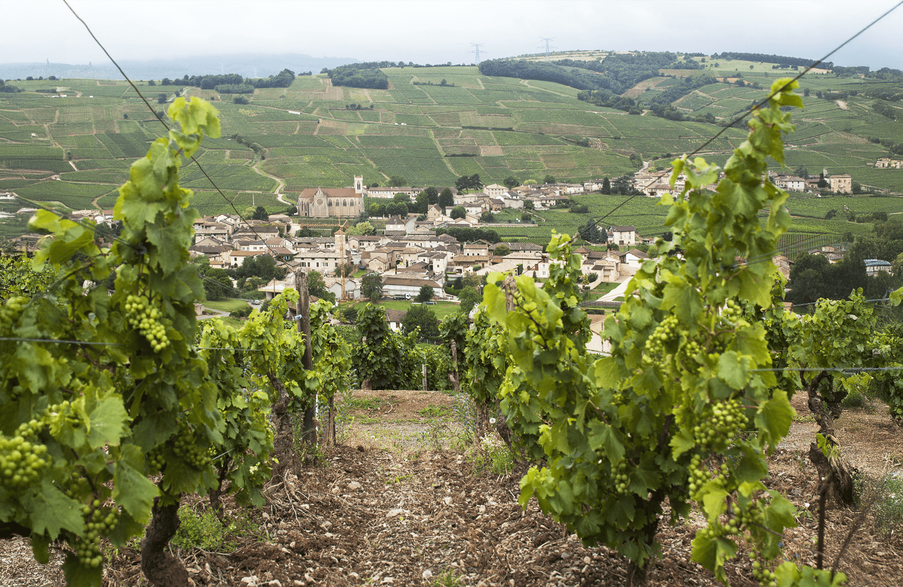 the story of Domaine Robert Denogent