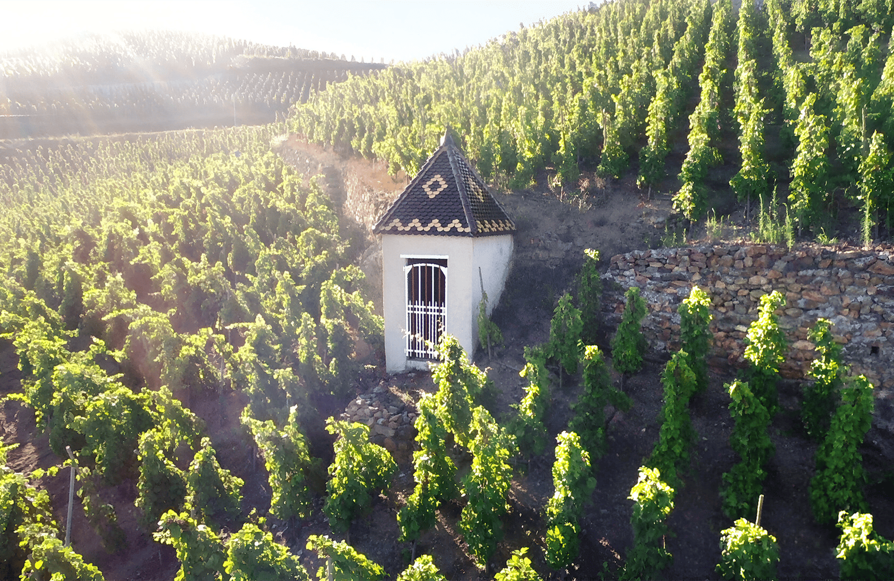 the story of Rostaing Estate
