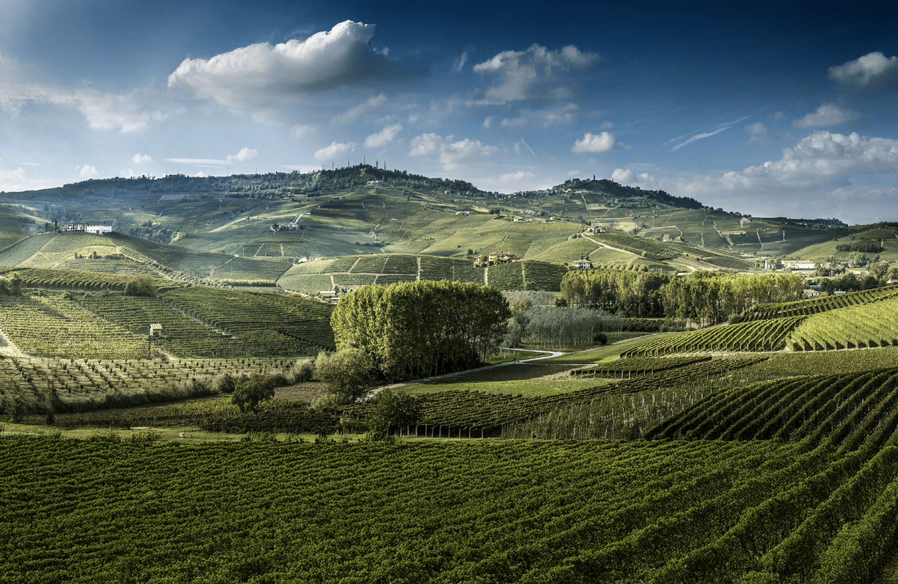 l’histoire du Luciano Sandrone - Italie