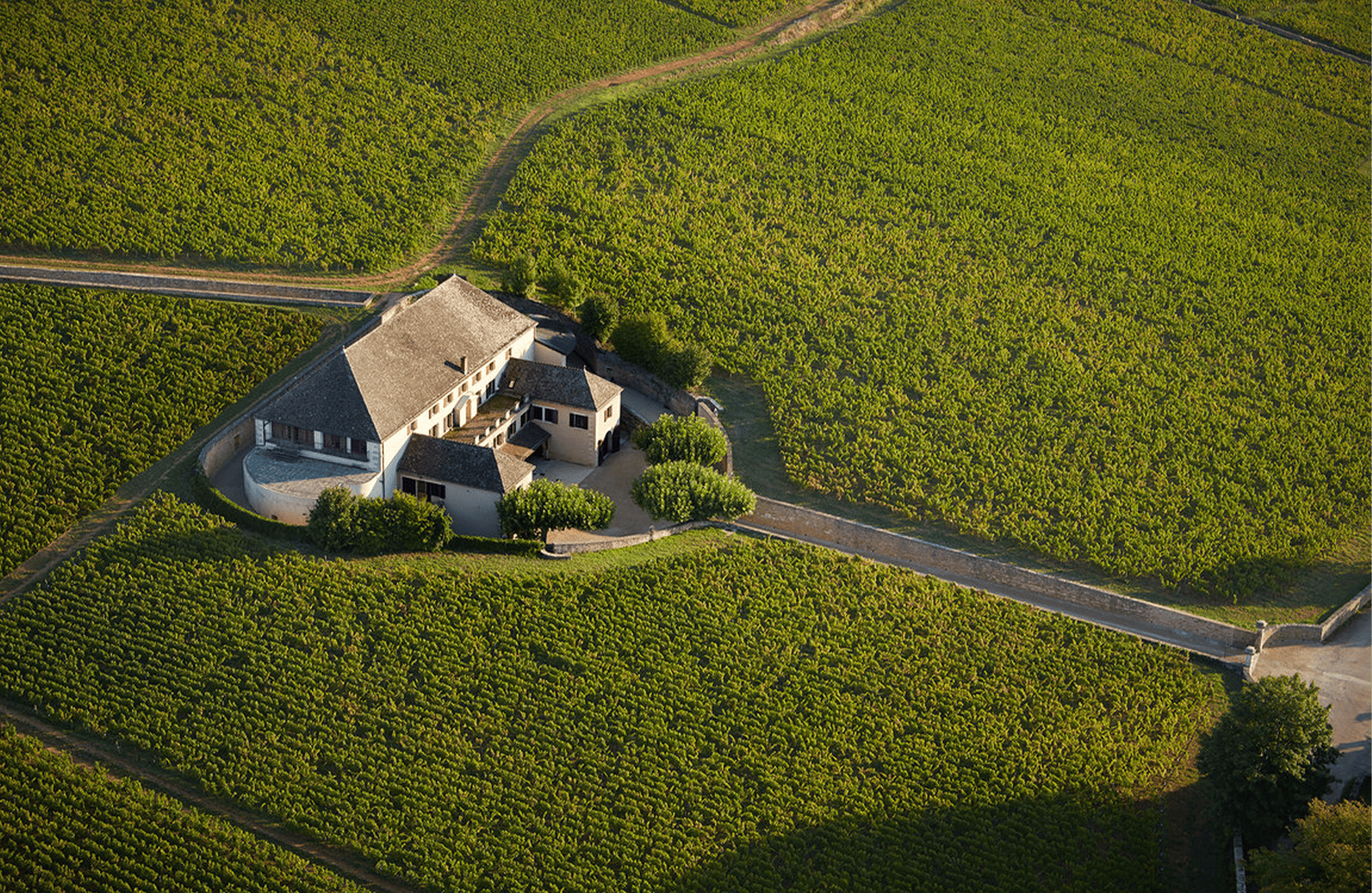 la storia di Casa di Louis Latour
