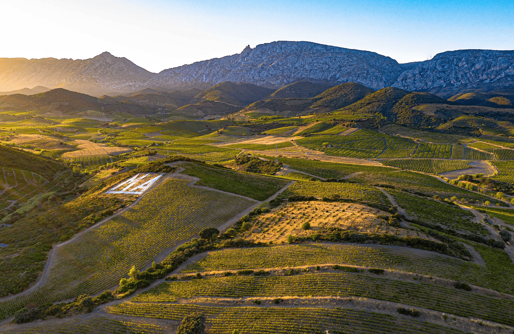 die Geschichte der Mas Amiel