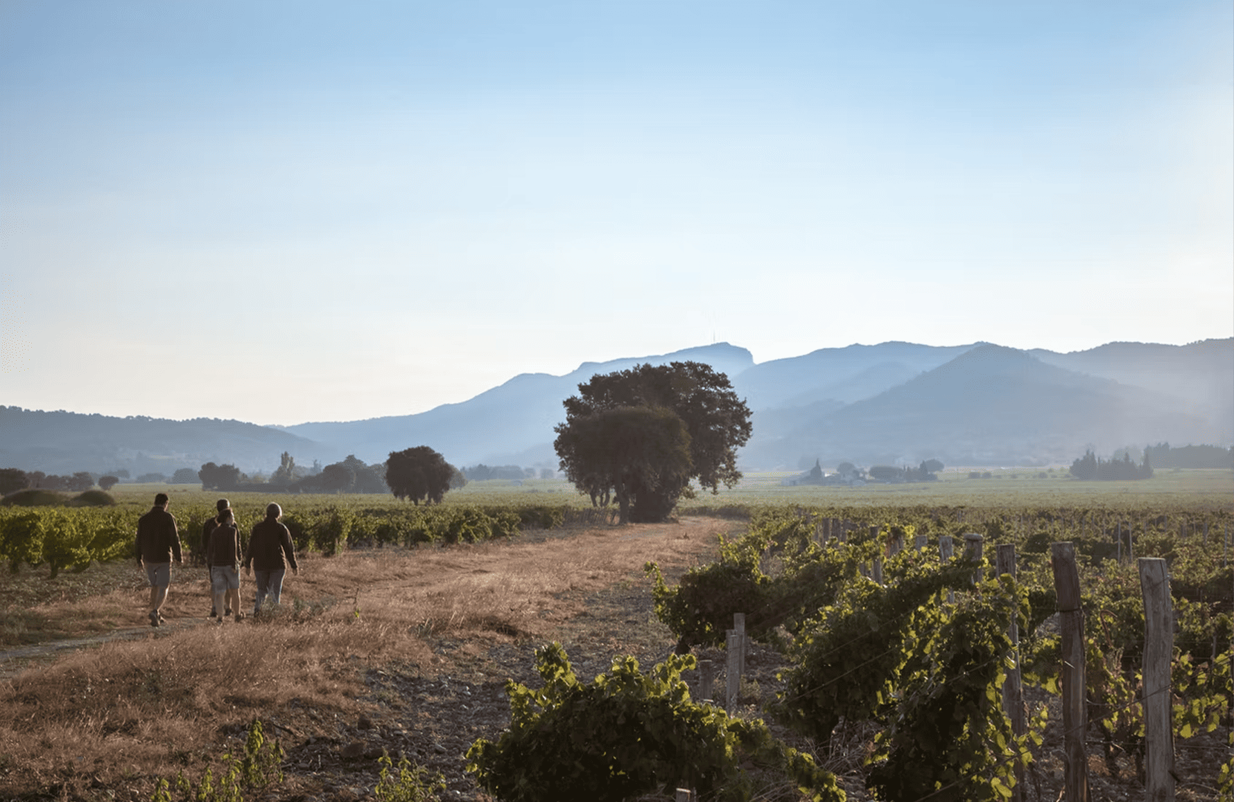 the story of Montirius