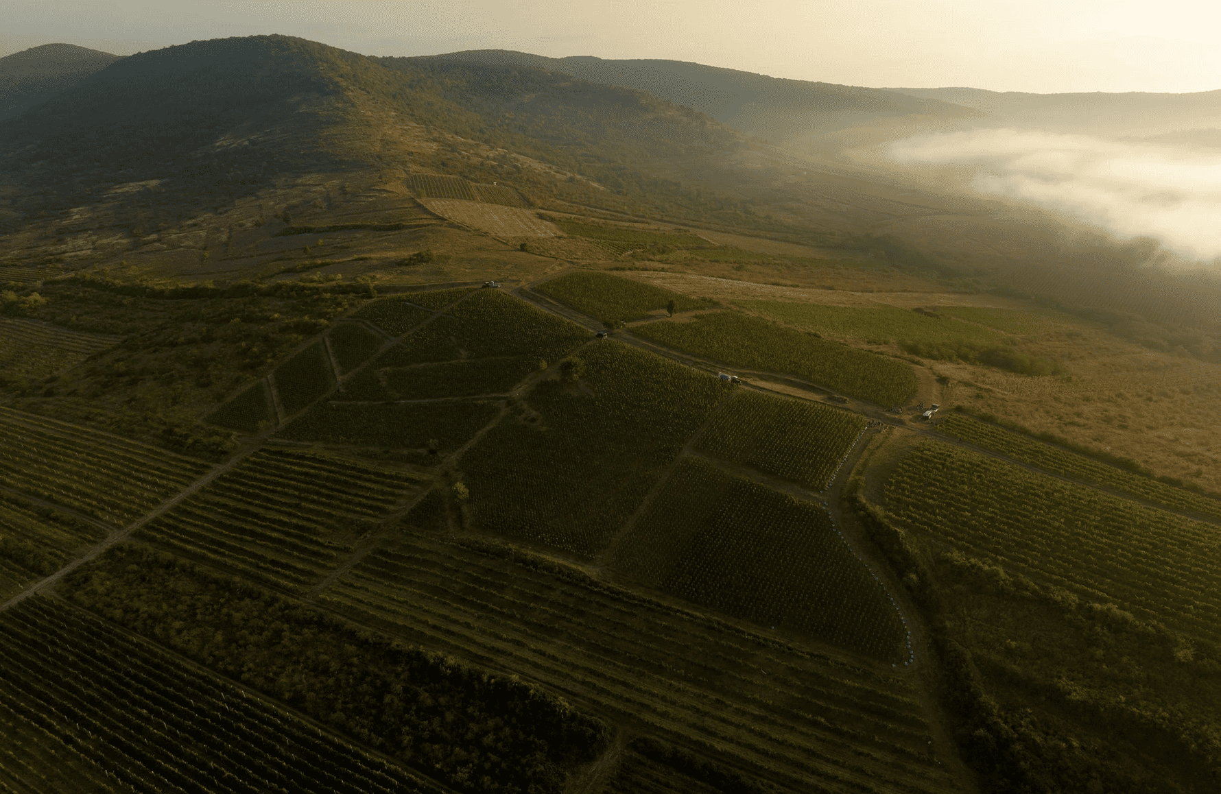 la storia di Oremus - Ungheria
