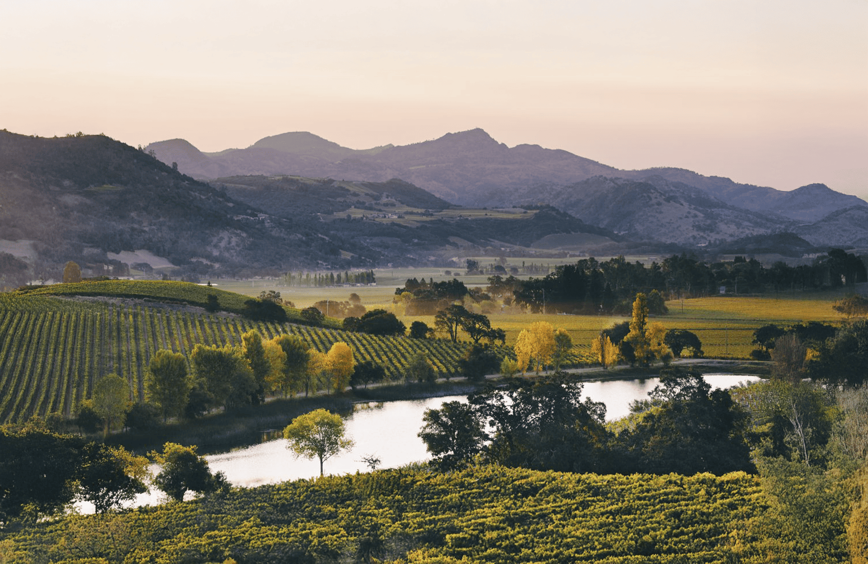 the story of Quintessa, United States