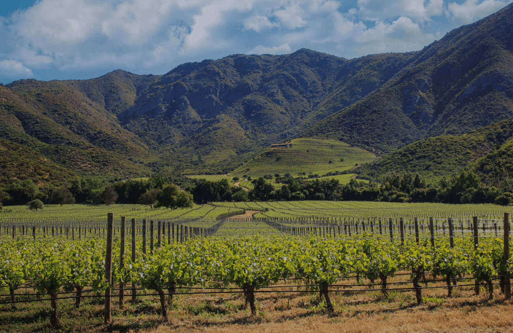 the story of Seña - Chile