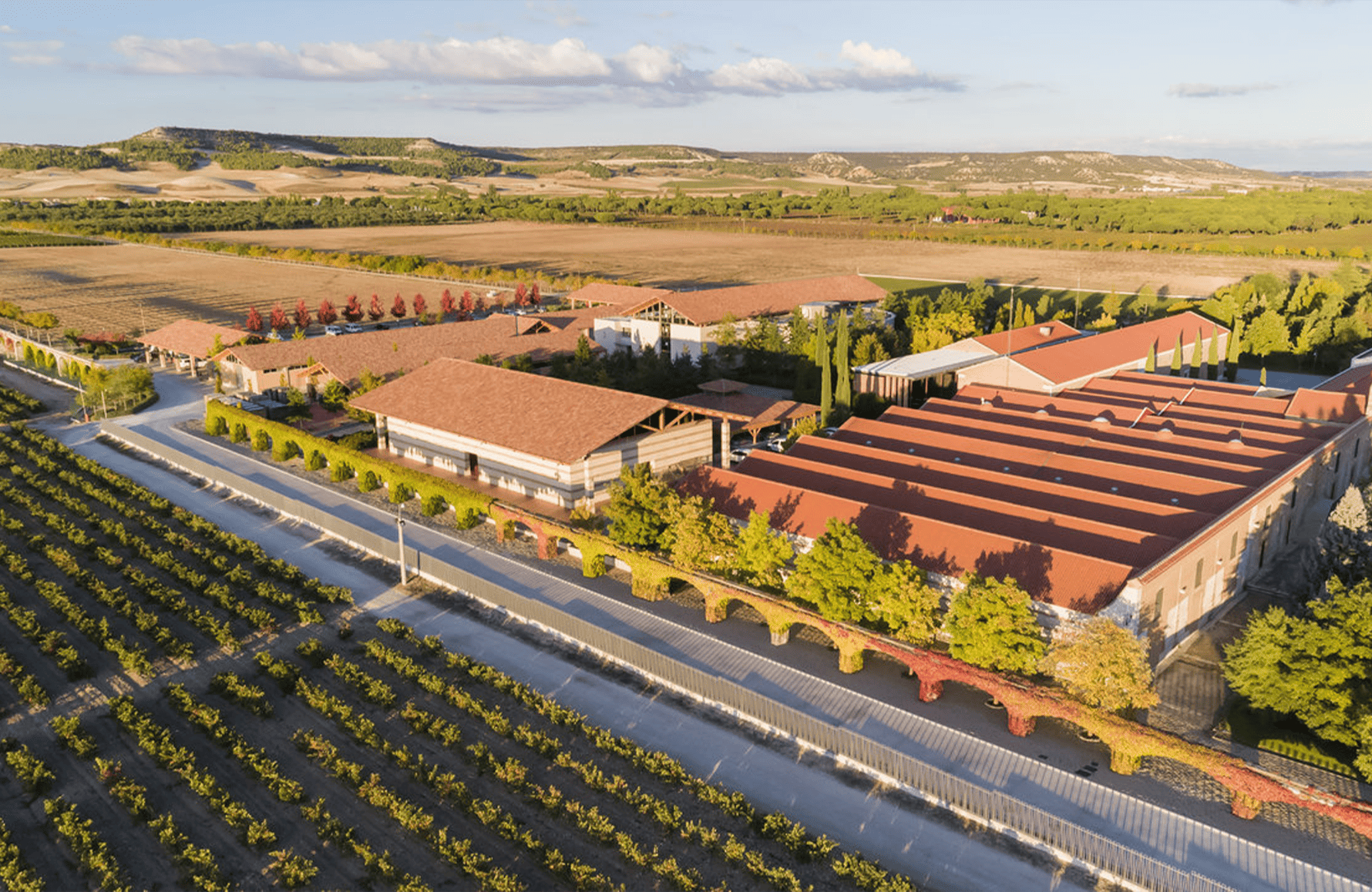 l’histoire du Vega Sicilia - Espagne