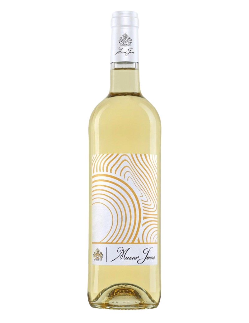 Château Musar - Vallée de la Bekaa Jeune Blanc 2020