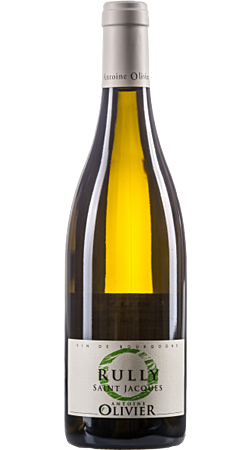 Domaine Antoine Olivier - Saint-Jacques 2020 - Rully